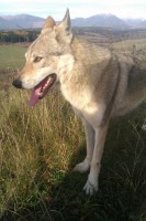 /album/galeria/csv-csv-csv-jpg/